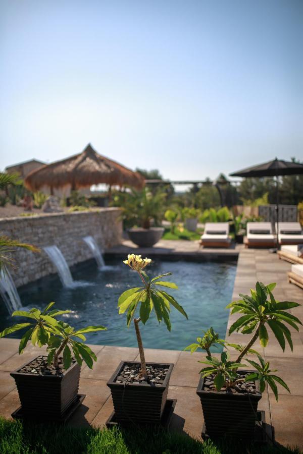 Villa Merapi Sveti Lovreč Pazenatički Extérieur photo