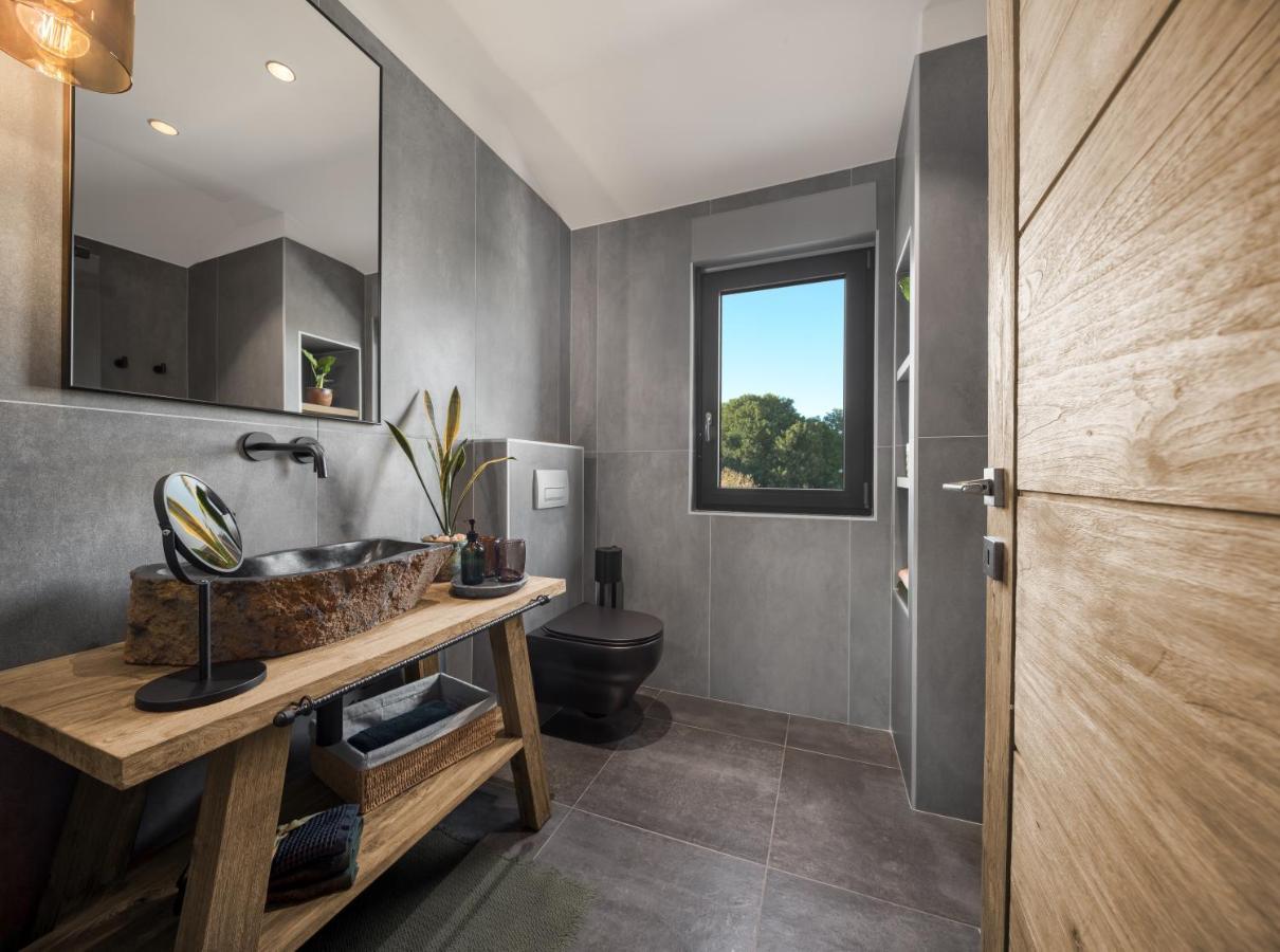 Villa Merapi Sveti Lovreč Pazenatički Extérieur photo